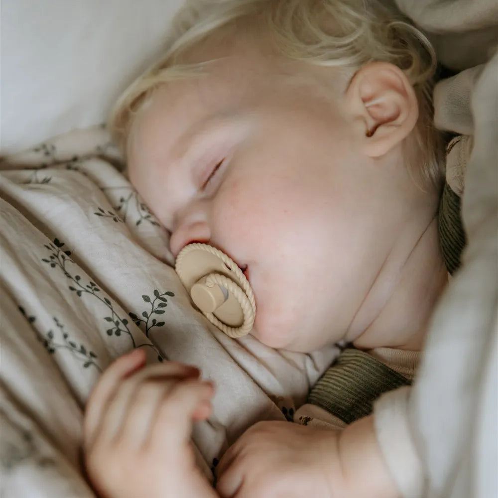 FRIGG 6 Pack - Earthy Wonder