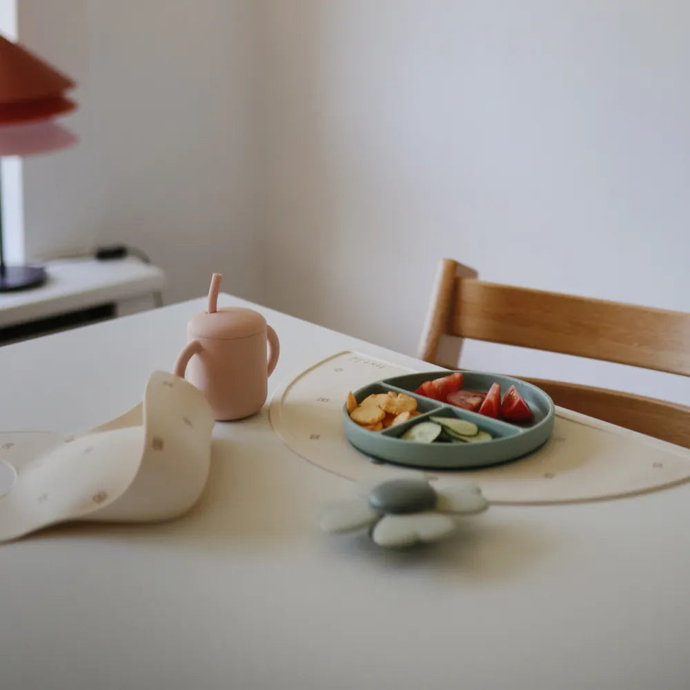 Mushie suction cup spinner