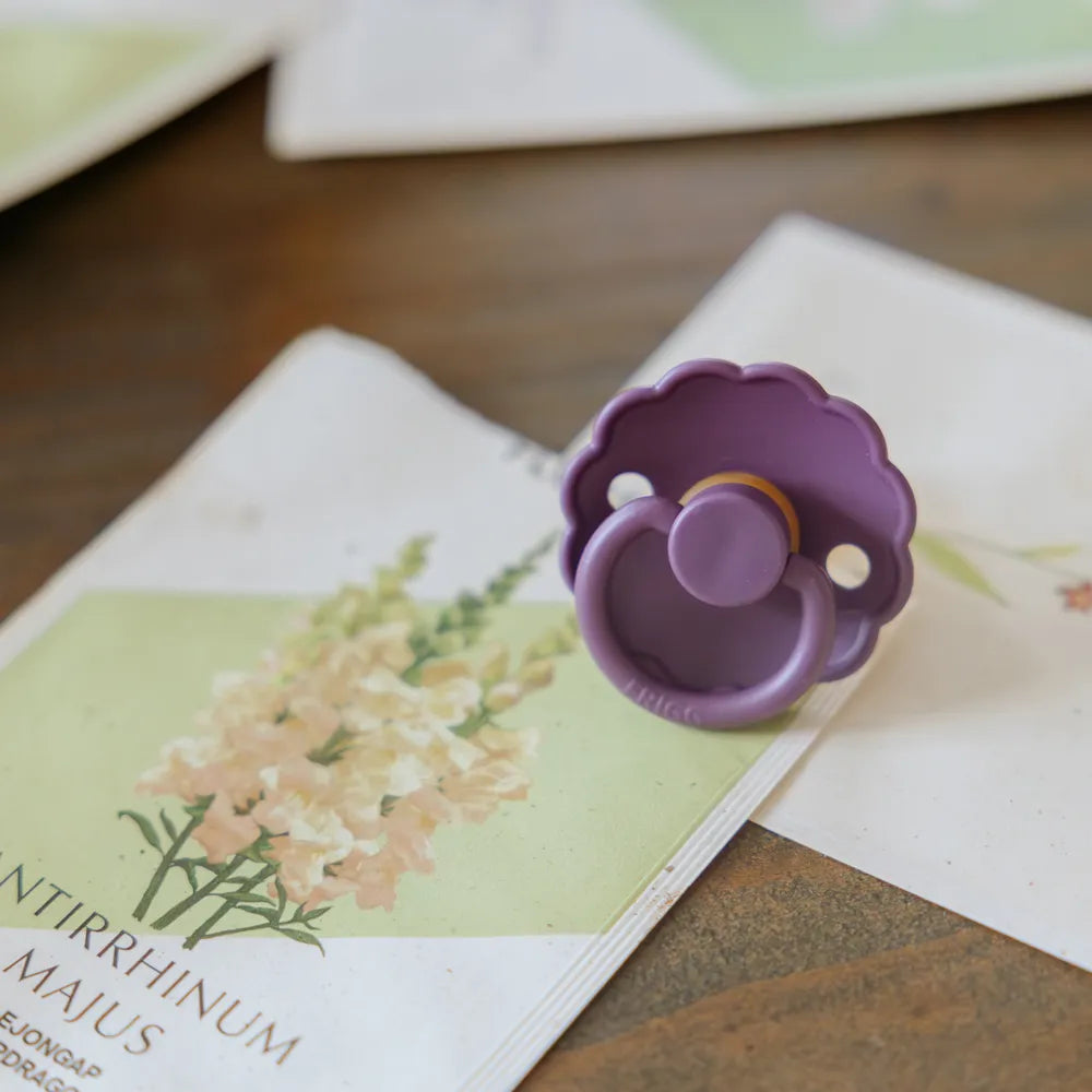 FRIGG Daisy - Violet Dream