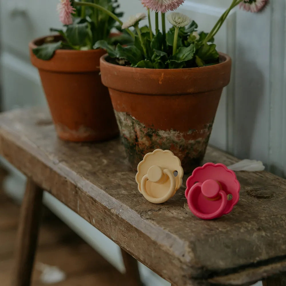 FRIGG Daisy - Pale Daffodil/Fuchsia - 2-pack