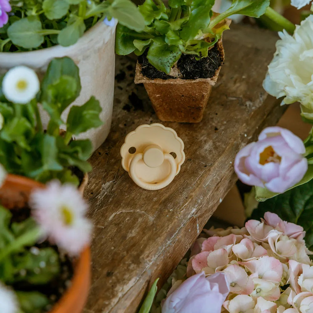 FRIGG Daisy - Pale Daffodil/Fuchsia - 2-pack