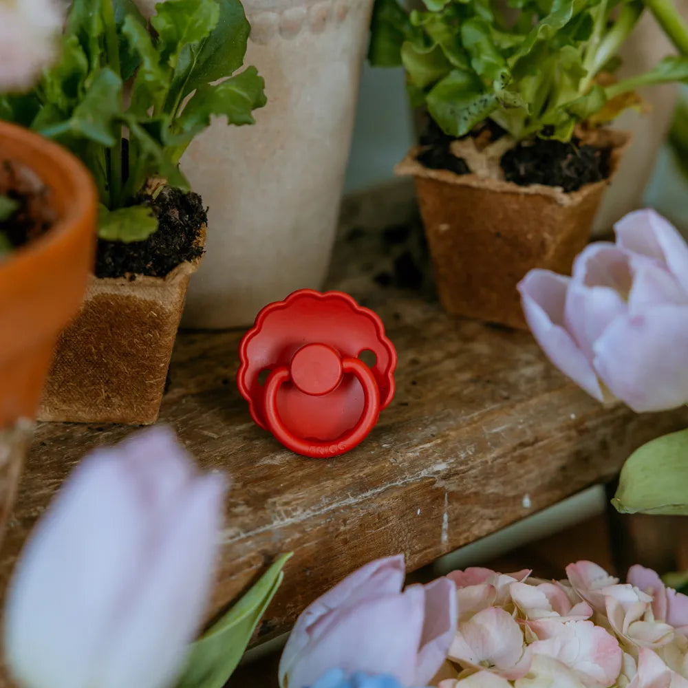 FRIGG 4-pack - Rosy Romance