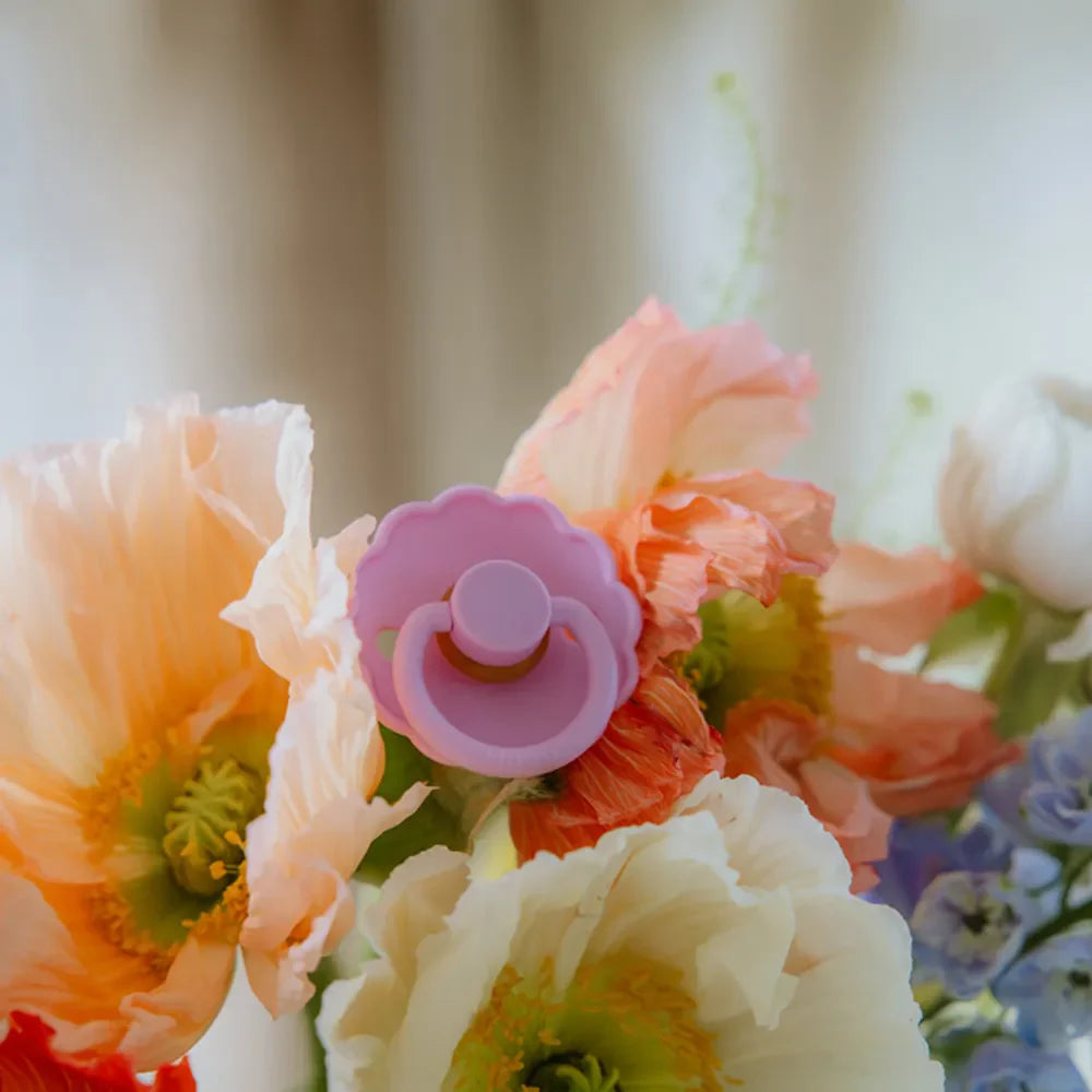 FRIGG Daisy - Lupine