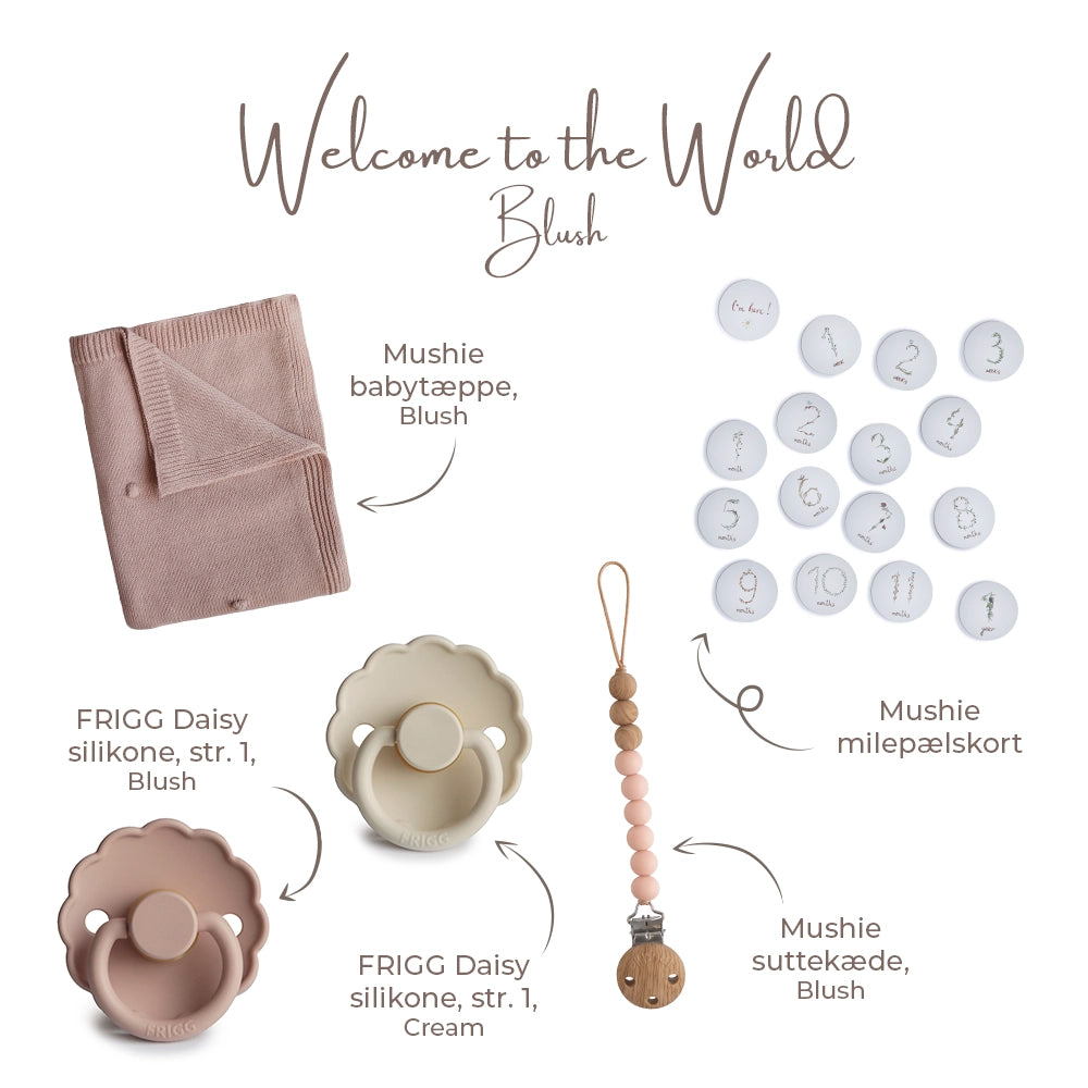 Welcome to the World - Blush